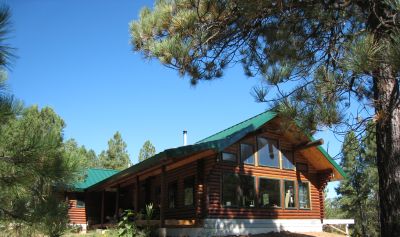 Our Log Cabin in the Woods